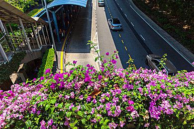 米哈游：《原神》剧情PV-「荣勋」